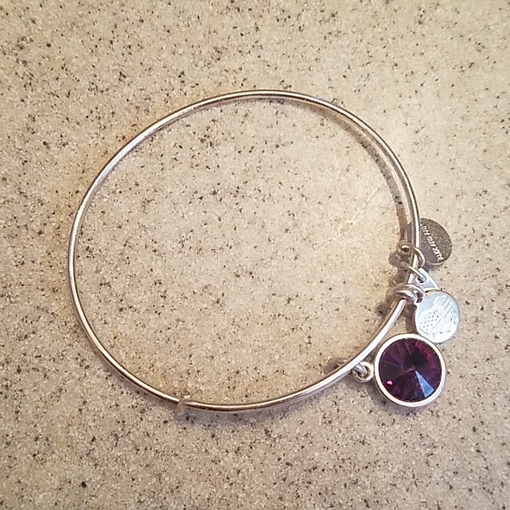 Alex&Ani bracelet